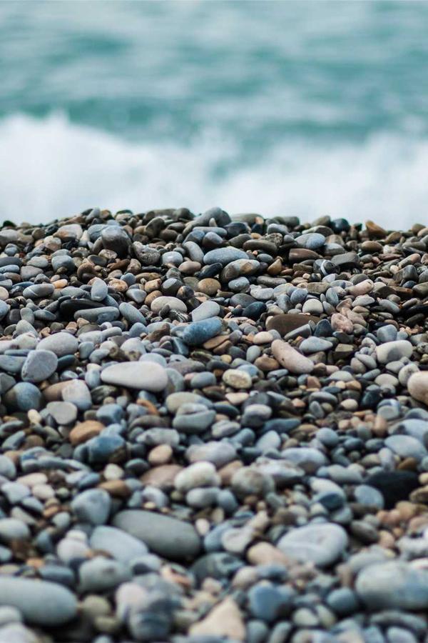 The Calligraphy of Dance 17, The King's Leg c.1680