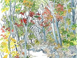 Chisos in Autumn, Big Bend National Park